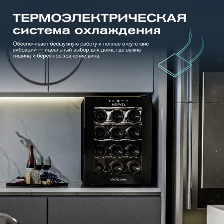 Винный холодильник (шкаф) термоэлектрический MEYVEL MV12-TB1