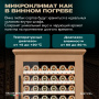 Винный холодильник (шкаф) компрессорный MEYVEL MV99PRO-KBT2 (Натуральный бук)